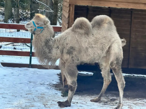 Гостевой дом Порт Внуково