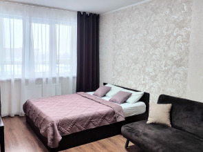 Квартира DailyRent-NN Апартаменты на Краснозвёздной рядом с Океанисом