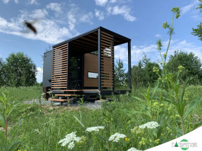 Глэмпинг Папоротник