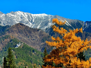 Мини-отель Подснежник