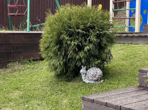 Гостевой дом Медведица