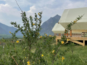 База отдыха Глэмп Хилл