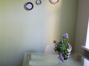 Апартаменты на Пряженникова 61