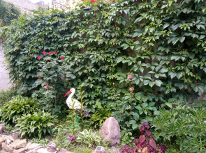 Гостевой дом у горы Сосновки