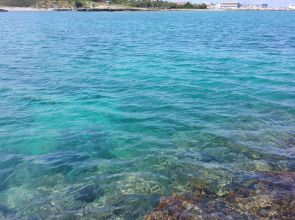 Отель Oscar Resort