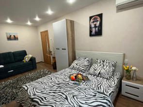 Апартаменты 1-комнатные с видом на Волгу (Бухта)