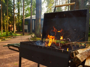 Частный дом Большая Репинская дача в лесу