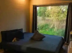 Глэмпинг Папоротник