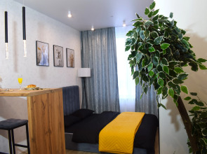 Апартаменты Дом Smile Зона Комфорта