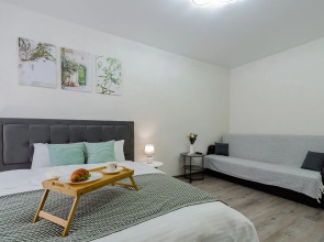 Квартира 1 комнатная квартира на Смирнова