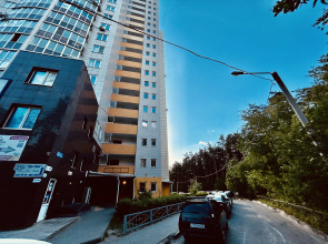 Квартира Уютная просторная однушка (55кв.) с АЛИСОЙ