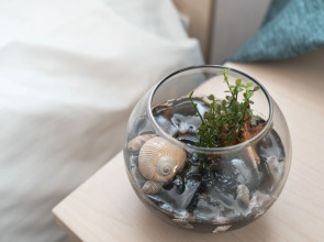 Гостевой дом Alma