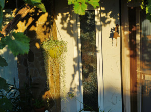 Dom Pod Zvezdopadom Guest House