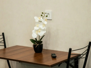 Апартаменты Уютные квартиры в Ново Ленино (2)