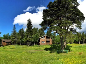 Отель Cedar Grass Белое Море