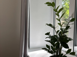 Квартира с парковкой в центре Санкт-Петербурга 2