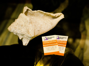 Апартаменты Квартирный Вопрос на Артема 89