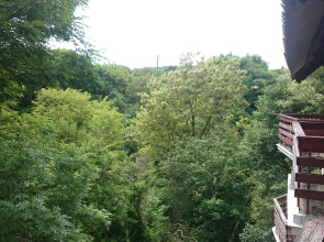 Отель Динамо