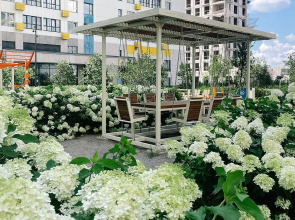 Квартира Трехкомнатная квартира