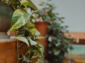 Отель Old Yerevan