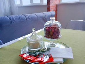 Апартаменты Sutki Rent с красивым видом на горы