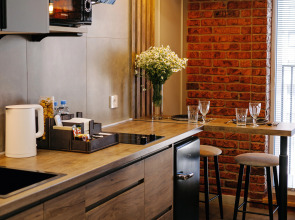 Квартира Новые лофт апартаменты в центре