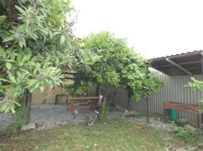 Гостевой дом Comodita