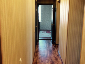 Квартира двухкомнатная Хирурга Нечаева 16