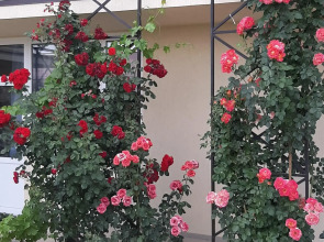 Guest House on Aivazovskogo 38