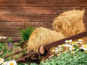 Гостевой Дом Казачий Хуторок