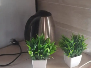 Гостевой дом Домашний Отель