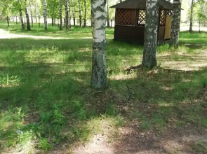 Санаторий Золотой Колос