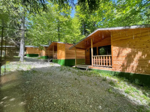 Горная Мята