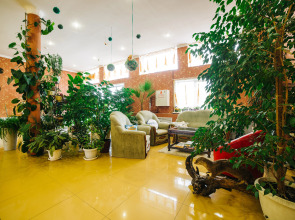 Отель Курский Соловей