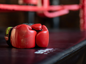 Отель Fanagoriets