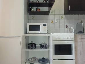 Квартира Апартаменты "У Родника"