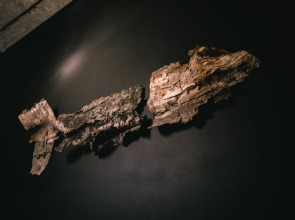 Хостел YAGEL LOFT