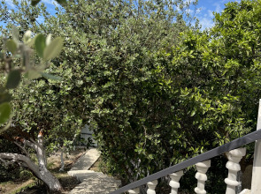 Гостевой дом Амальфи