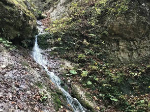 База Отдыха Телец