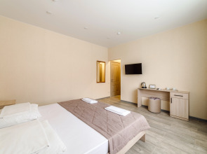 Отель Платон