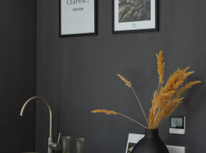 Гостевой дом Alpina house