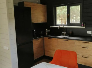 Частный дом в Сосновом Лесу