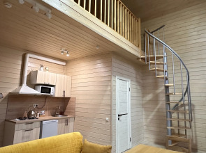 Гостевые дома Шишка