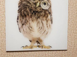 Апартаменты Новая 30