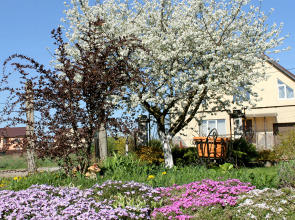 Апартаменты Homestay Vera