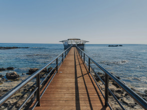 Отель Arkin Palm Beach