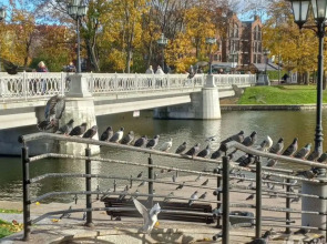 Квартира в центре у озера