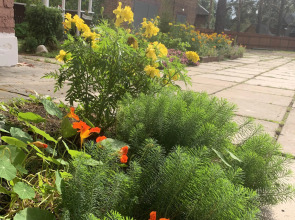 Мини-отель Подснежник