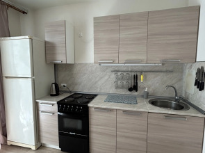 Апартаменты на проспекте Московском 209