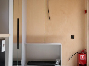 Снежные Гуси в Байкальске